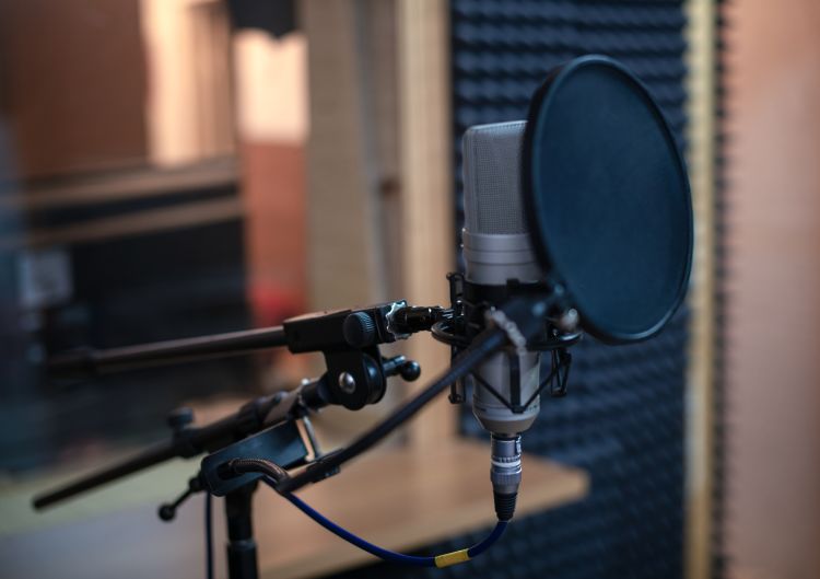 Valuable Vocals: The Field of Voiceover Work!